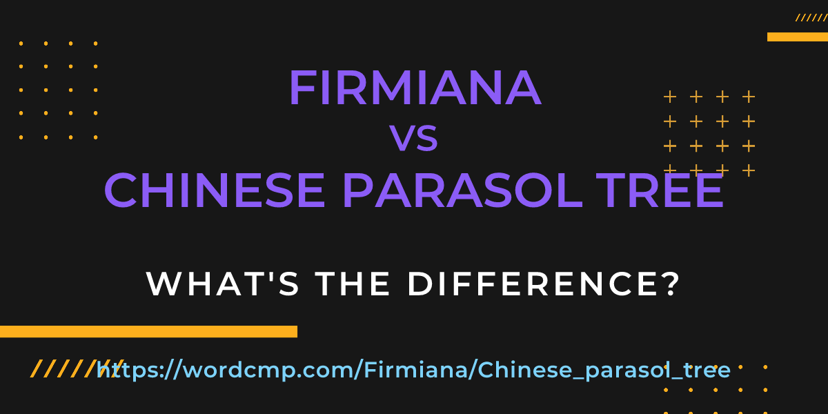 Difference between Firmiana and Chinese parasol tree