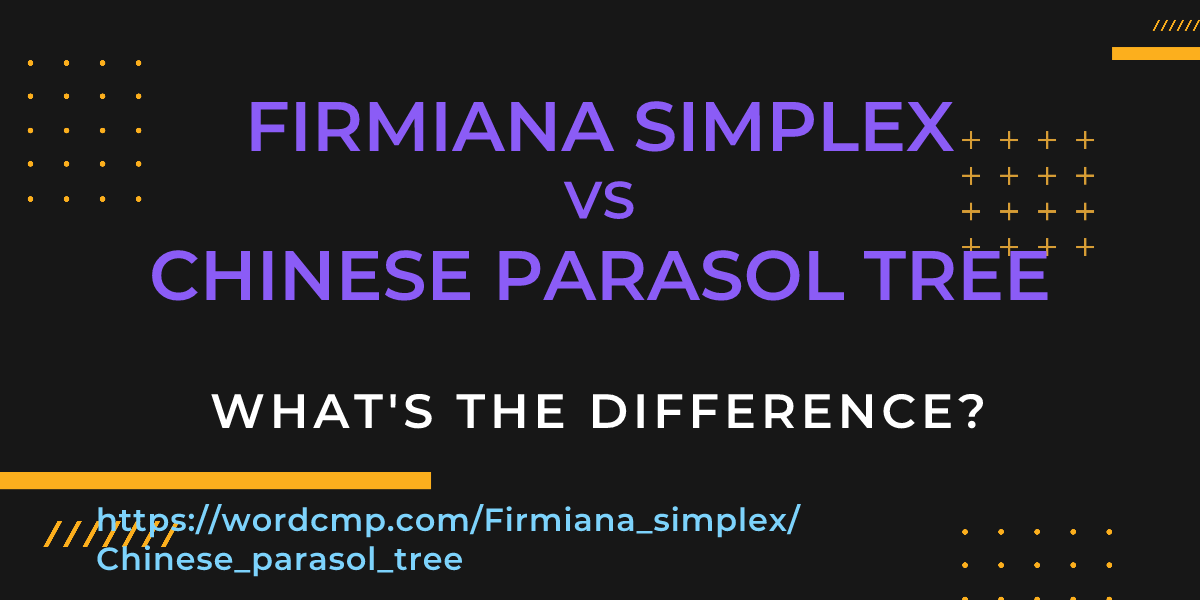 Difference between Firmiana simplex and Chinese parasol tree