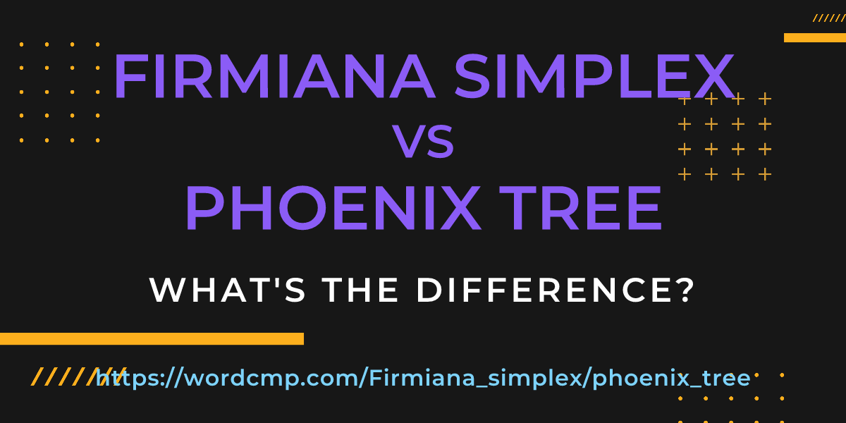 Difference between Firmiana simplex and phoenix tree