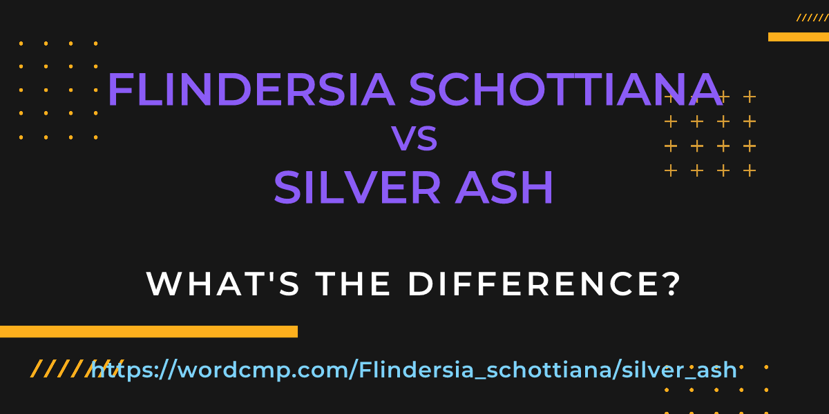 Difference between Flindersia schottiana and silver ash