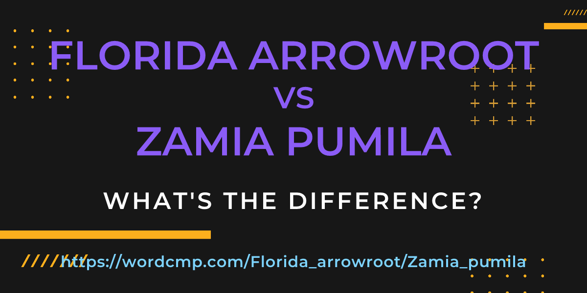 Difference between Florida arrowroot and Zamia pumila