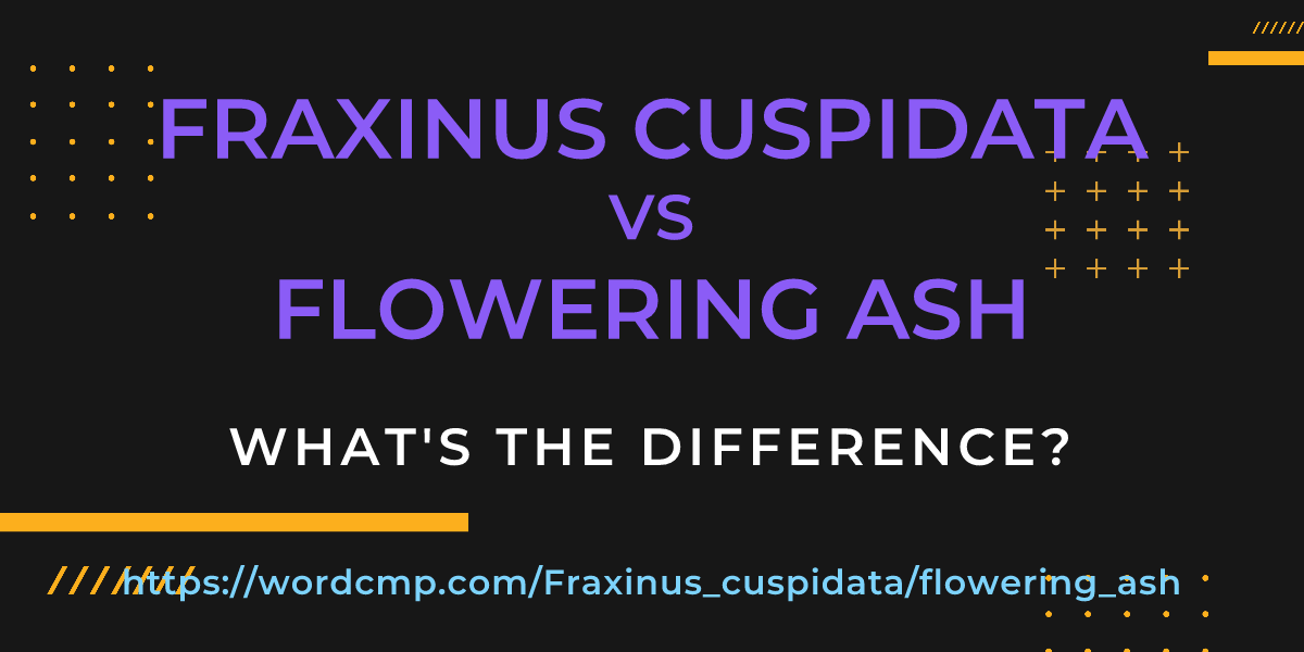 Difference between Fraxinus cuspidata and flowering ash