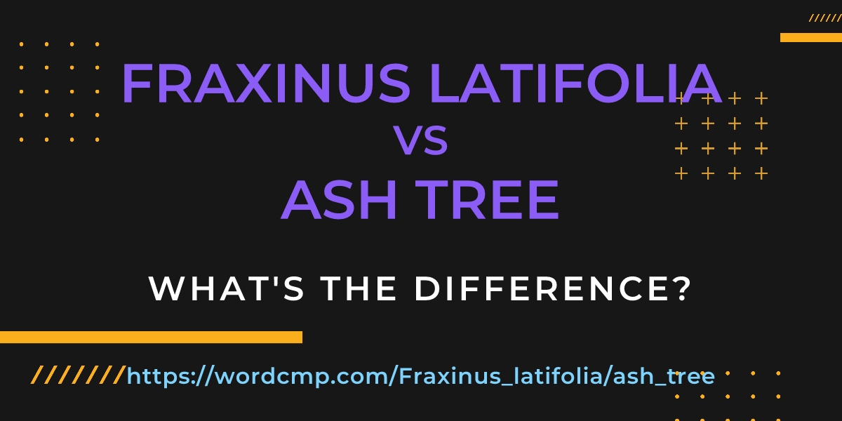 Difference between Fraxinus latifolia and ash tree