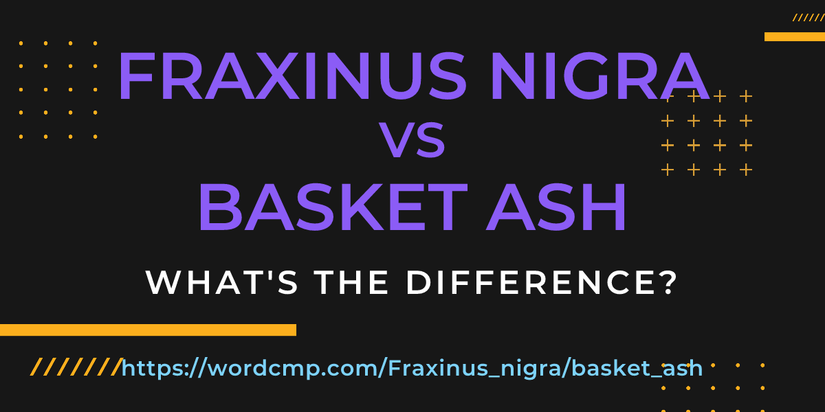 Difference between Fraxinus nigra and basket ash