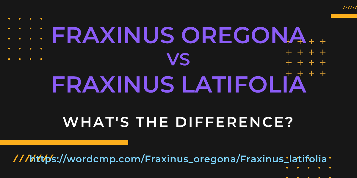 Difference between Fraxinus oregona and Fraxinus latifolia