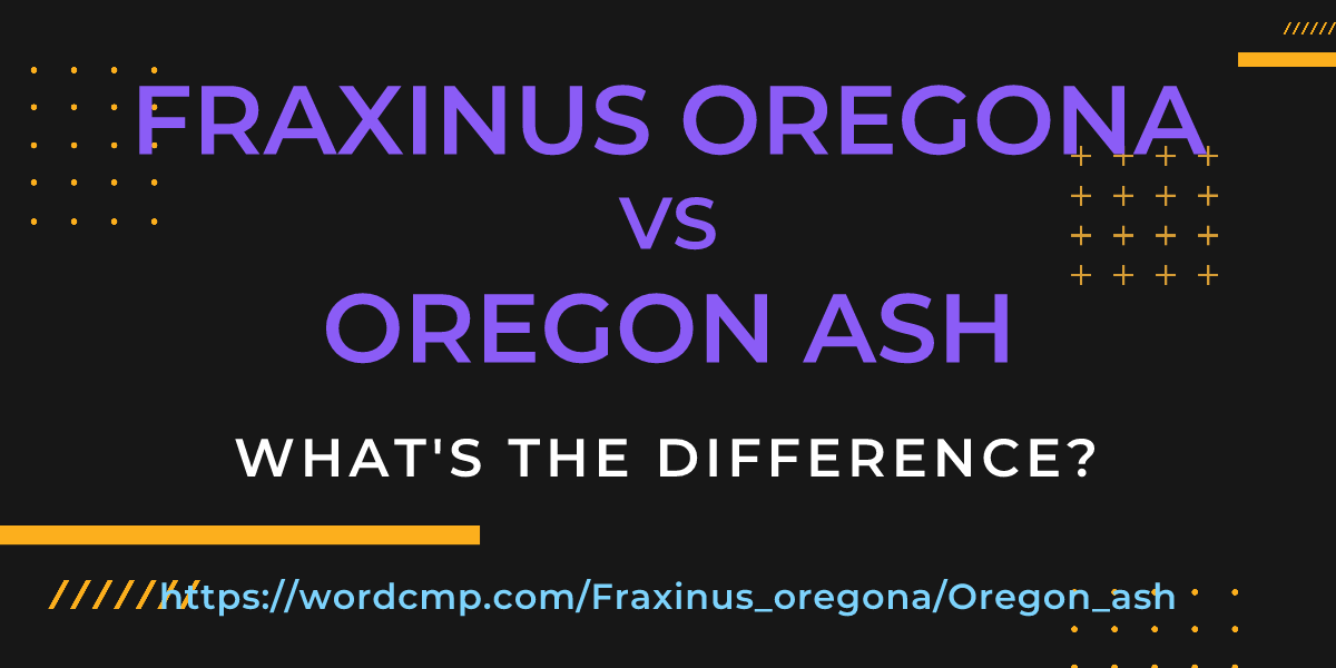 Difference between Fraxinus oregona and Oregon ash