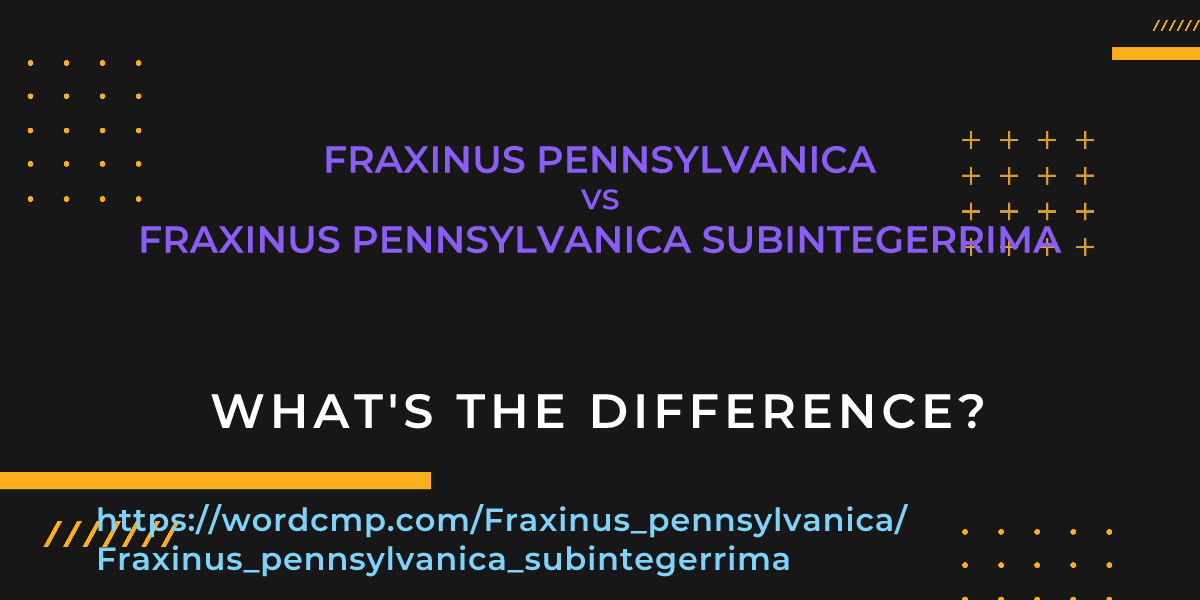 Difference between Fraxinus pennsylvanica and Fraxinus pennsylvanica subintegerrima