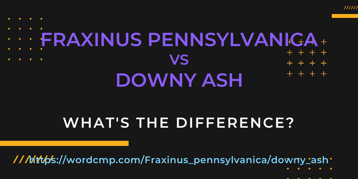 Difference between Fraxinus pennsylvanica and downy ash
