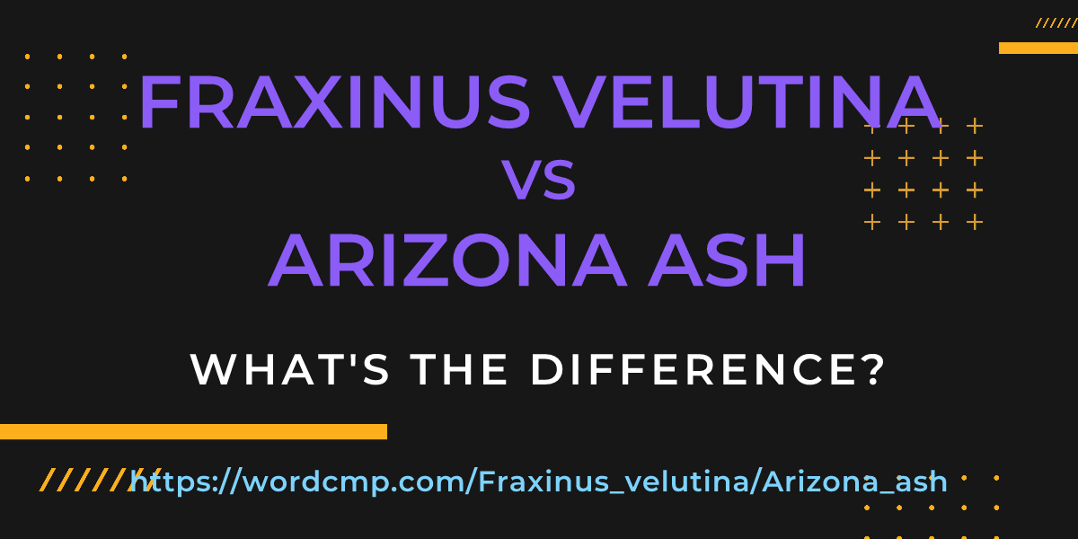 Difference between Fraxinus velutina and Arizona ash