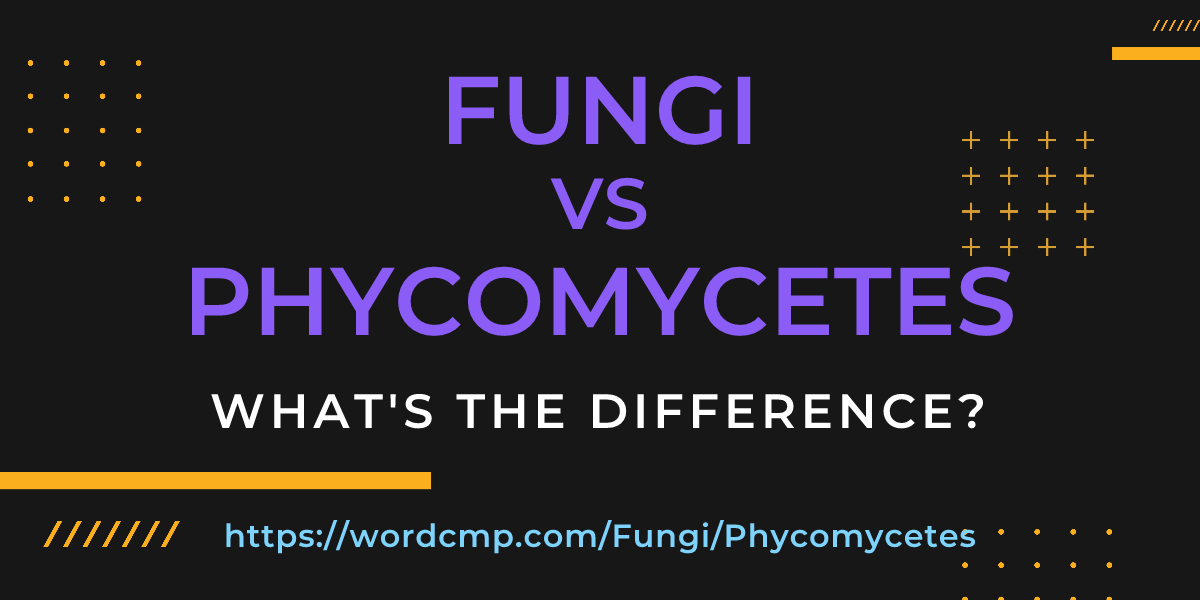 Difference between Fungi and Phycomycetes