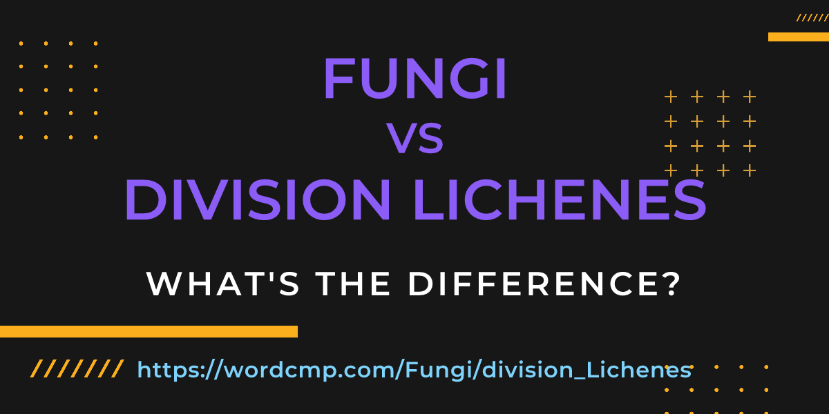 Difference between Fungi and division Lichenes