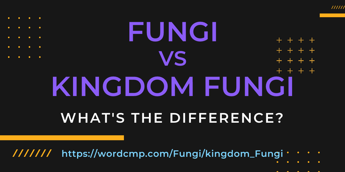 Difference between Fungi and kingdom Fungi