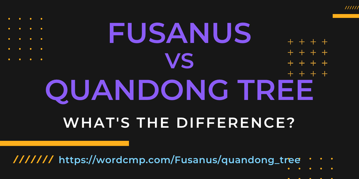 Difference between Fusanus and quandong tree