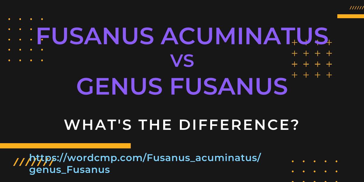 Difference between Fusanus acuminatus and genus Fusanus