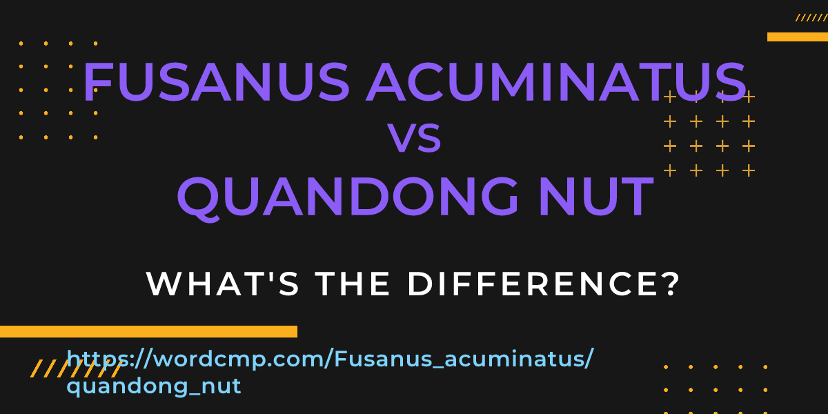 Difference between Fusanus acuminatus and quandong nut