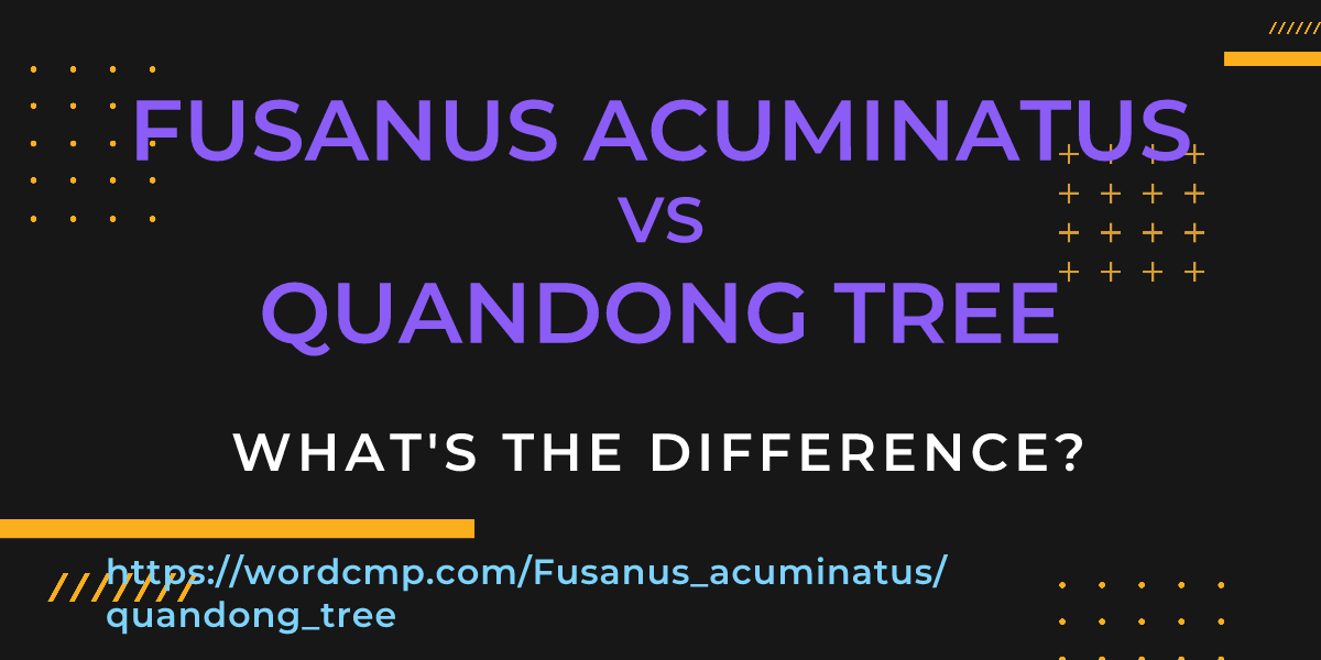 Difference between Fusanus acuminatus and quandong tree