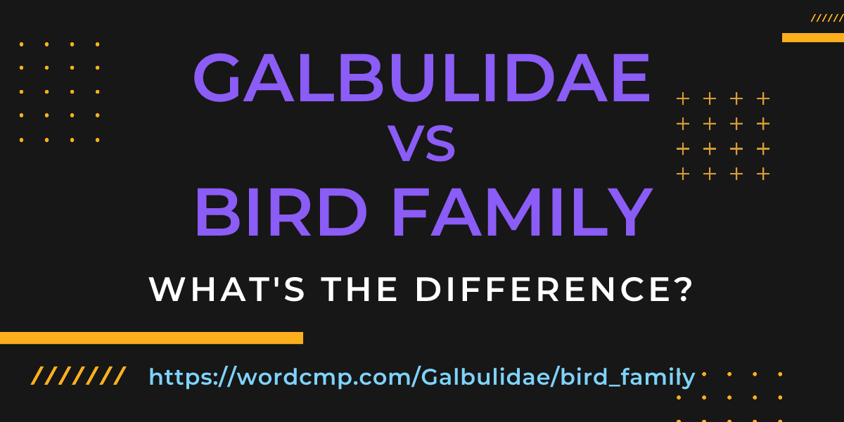 Difference between Galbulidae and bird family