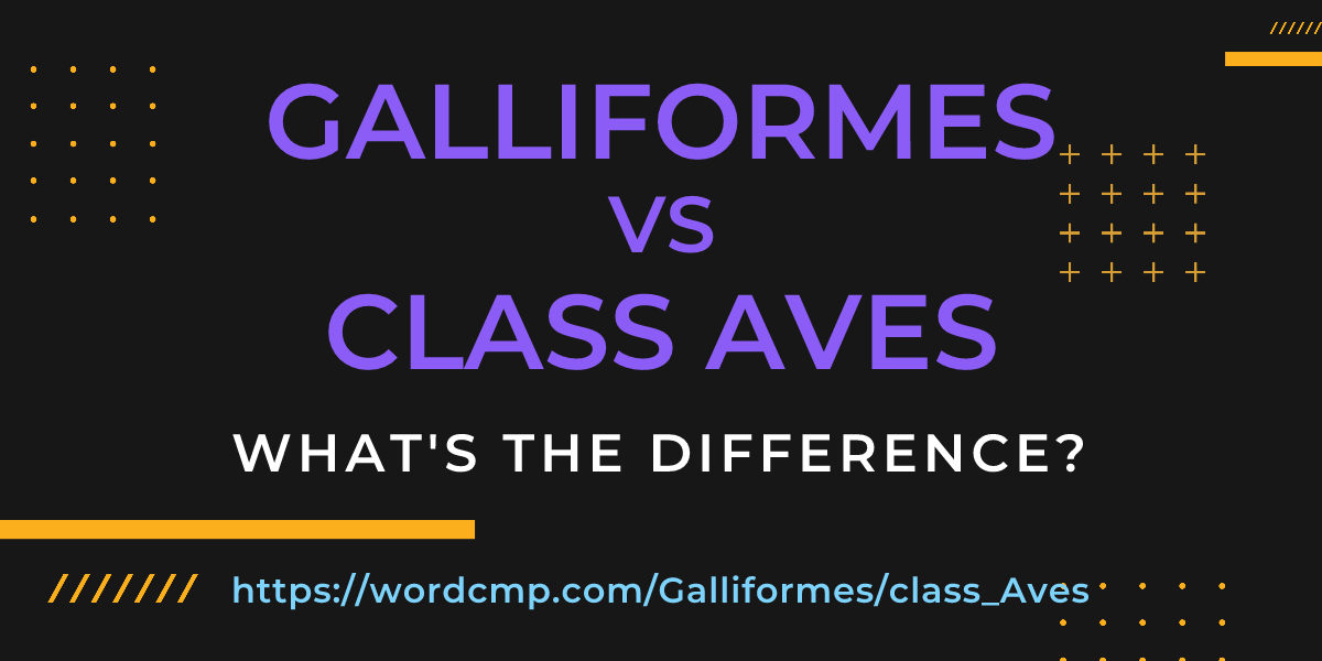 Difference between Galliformes and class Aves