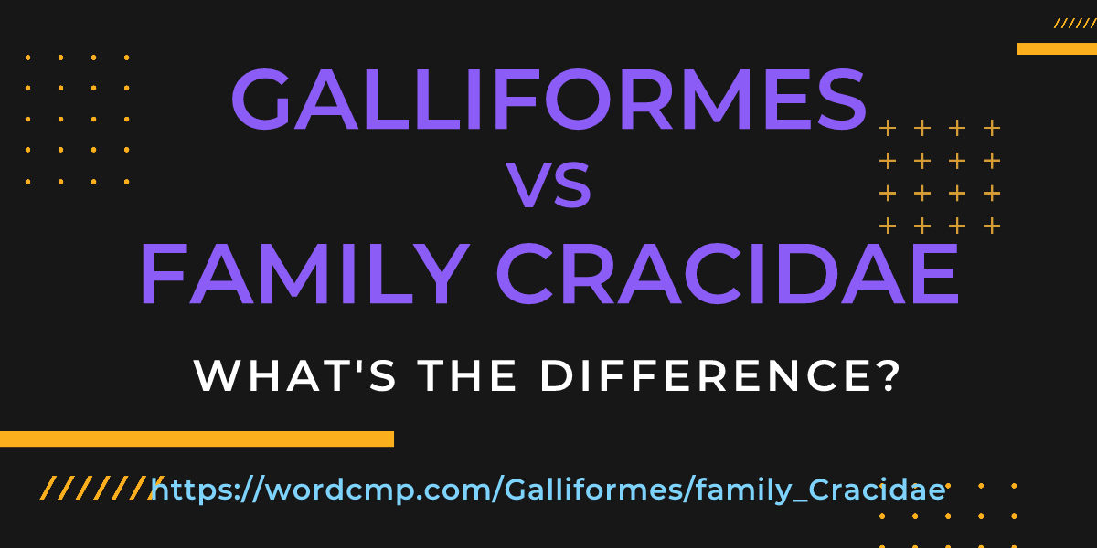 Difference between Galliformes and family Cracidae