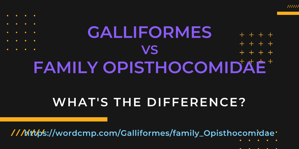 Difference between Galliformes and family Opisthocomidae