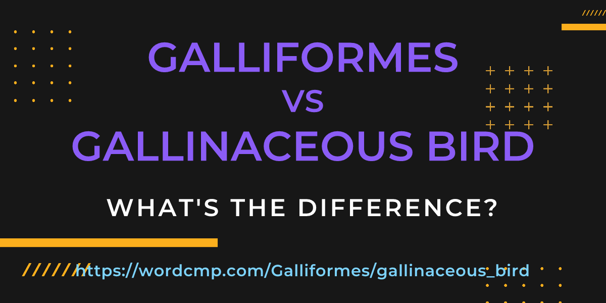 Difference between Galliformes and gallinaceous bird