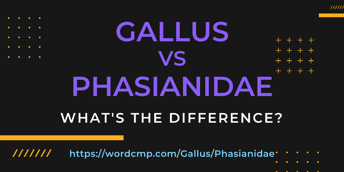 Difference between Gallus and Phasianidae