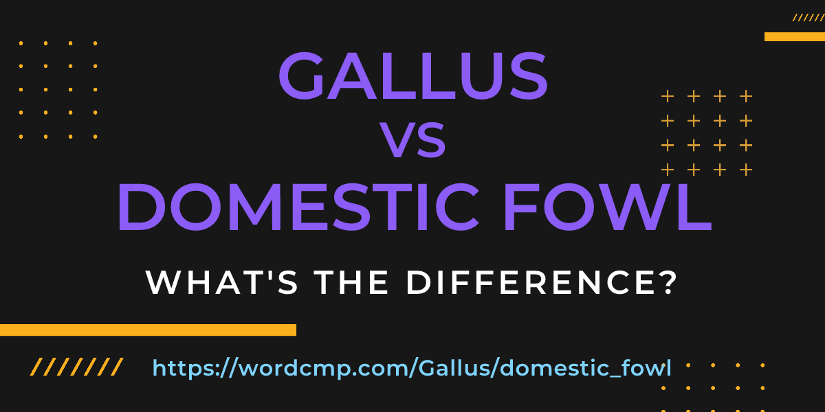 Difference between Gallus and domestic fowl