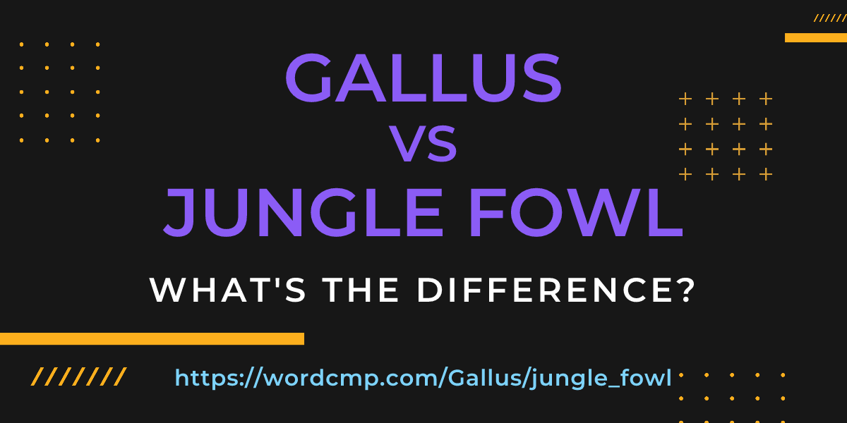 Difference between Gallus and jungle fowl