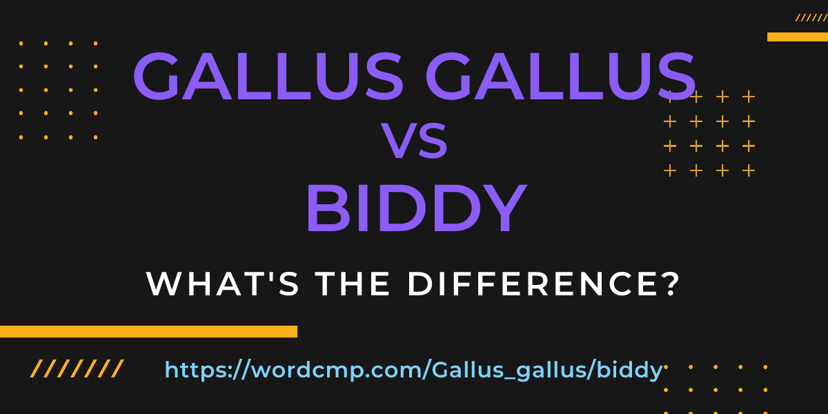Difference between Gallus gallus and biddy