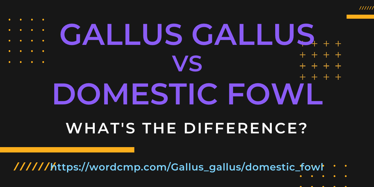 Difference between Gallus gallus and domestic fowl