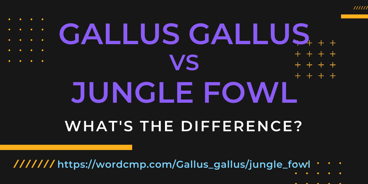 Difference between Gallus gallus and jungle fowl