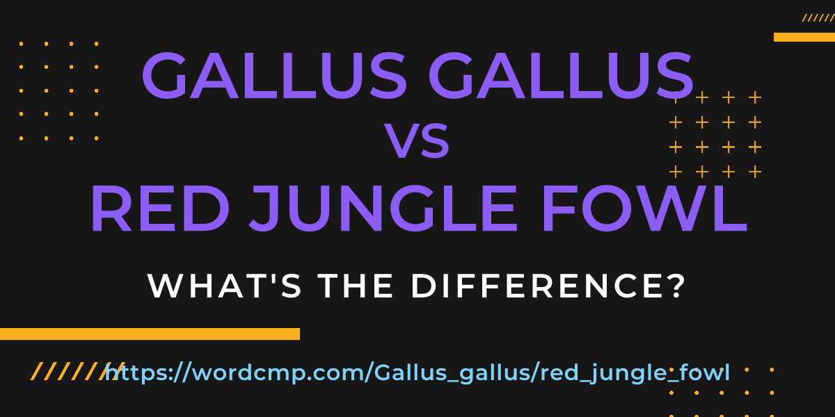 Difference between Gallus gallus and red jungle fowl