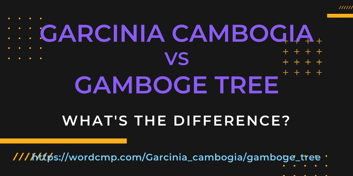 Difference between Garcinia cambogia and gamboge tree