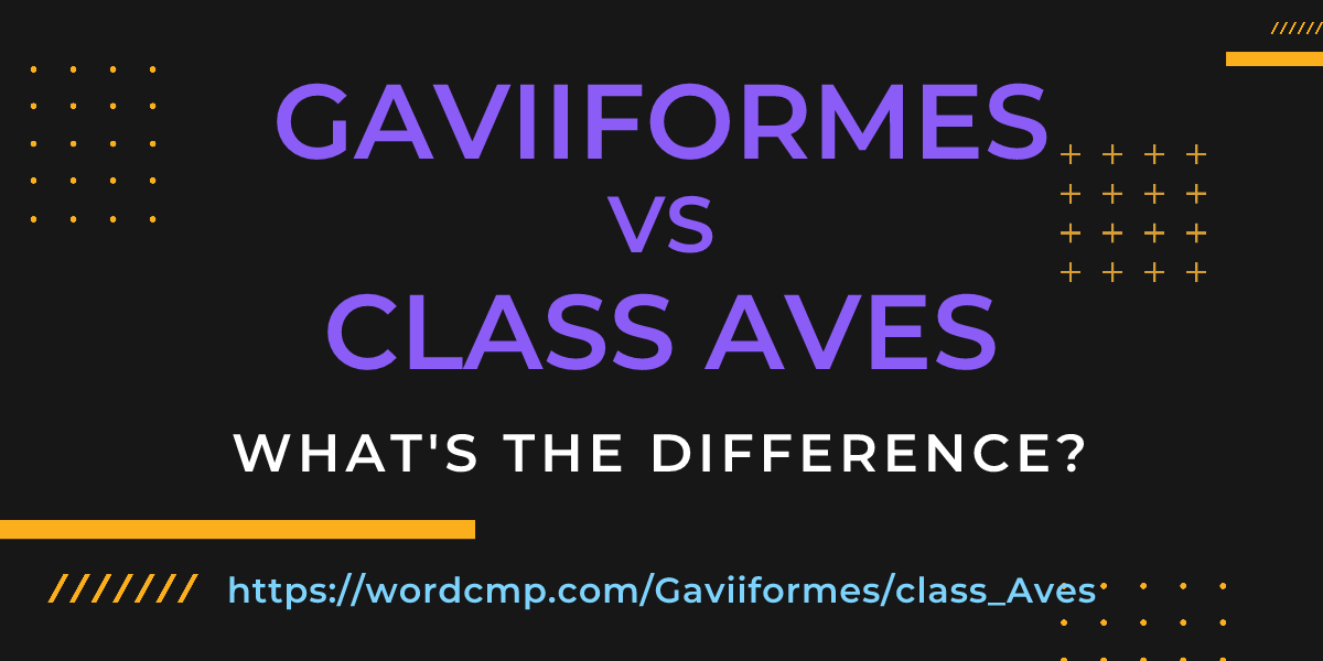 Difference between Gaviiformes and class Aves