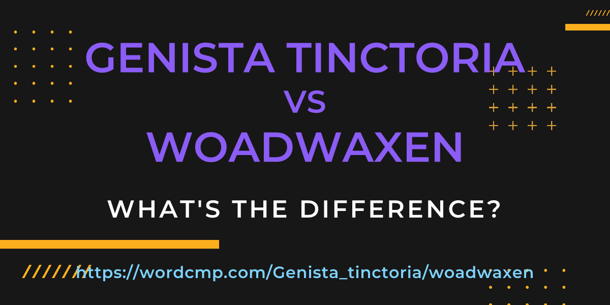 Difference between Genista tinctoria and woadwaxen