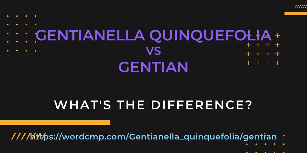 Difference between Gentianella quinquefolia and gentian