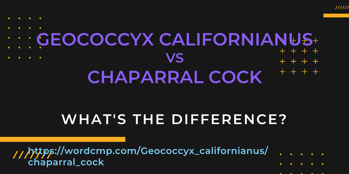Difference between Geococcyx californianus and chaparral cock