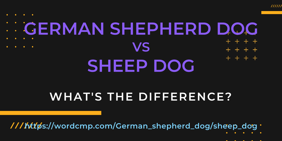 Difference between German shepherd dog and sheep dog