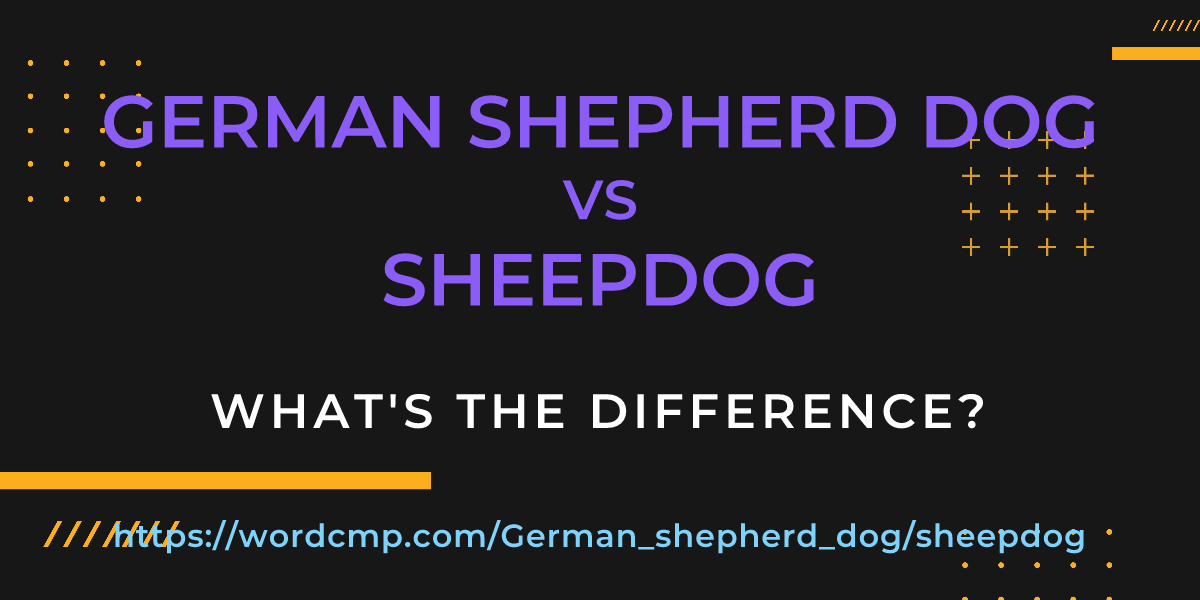 Difference between German shepherd dog and sheepdog