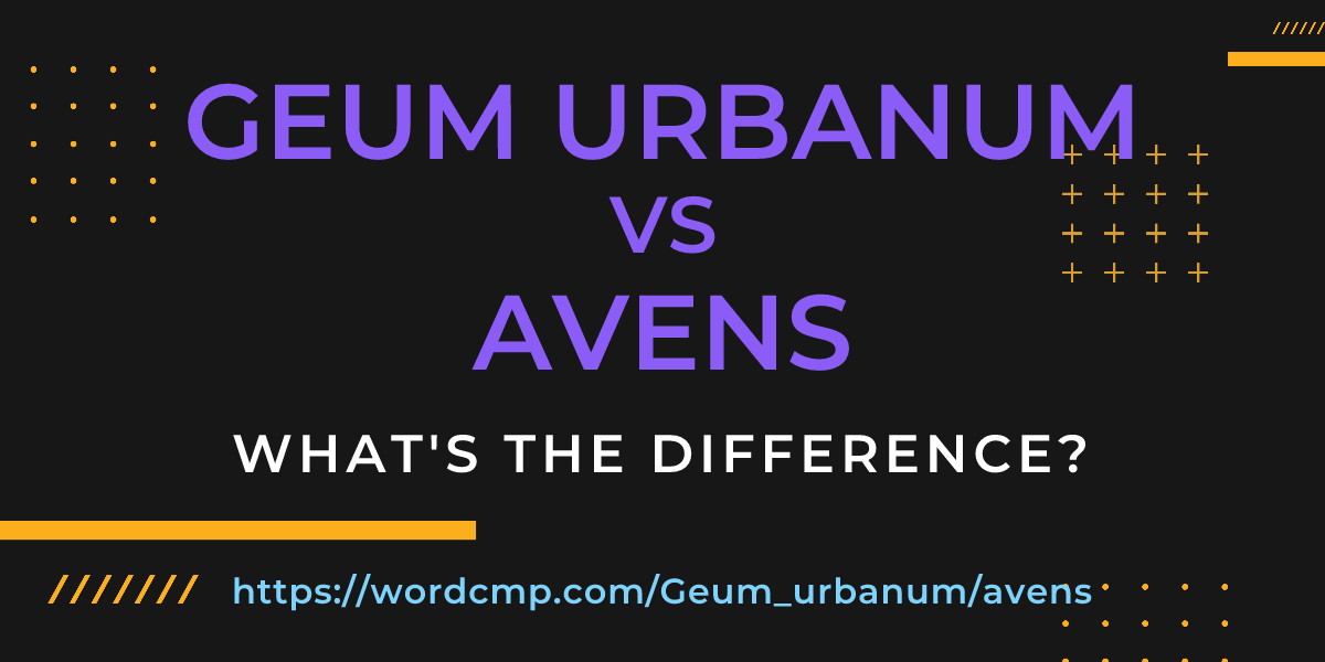 Difference between Geum urbanum and avens