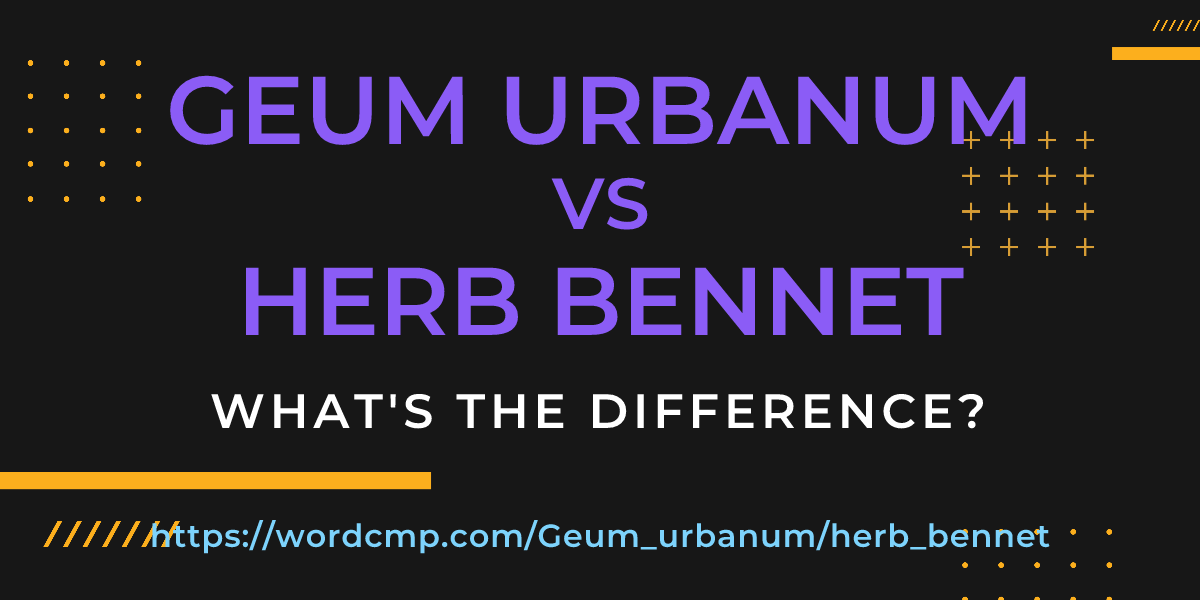 Difference between Geum urbanum and herb bennet