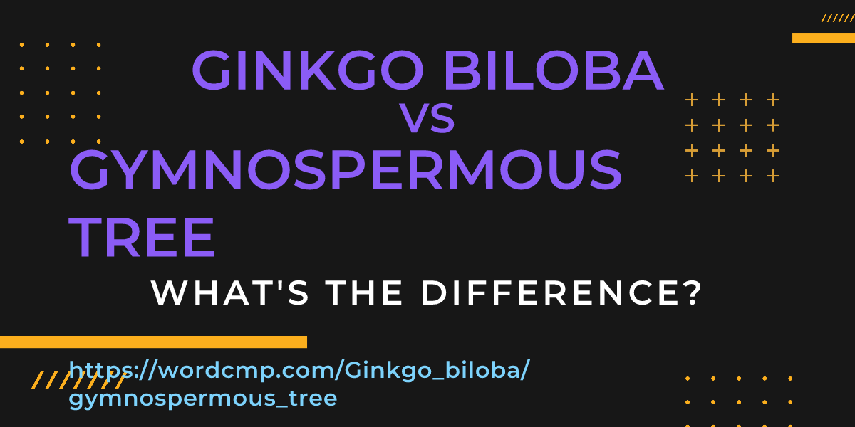 Difference between Ginkgo biloba and gymnospermous tree