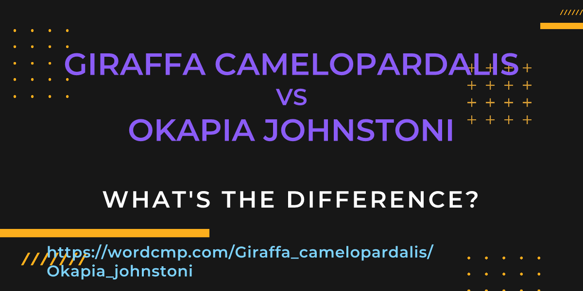 Difference between Giraffa camelopardalis and Okapia johnstoni