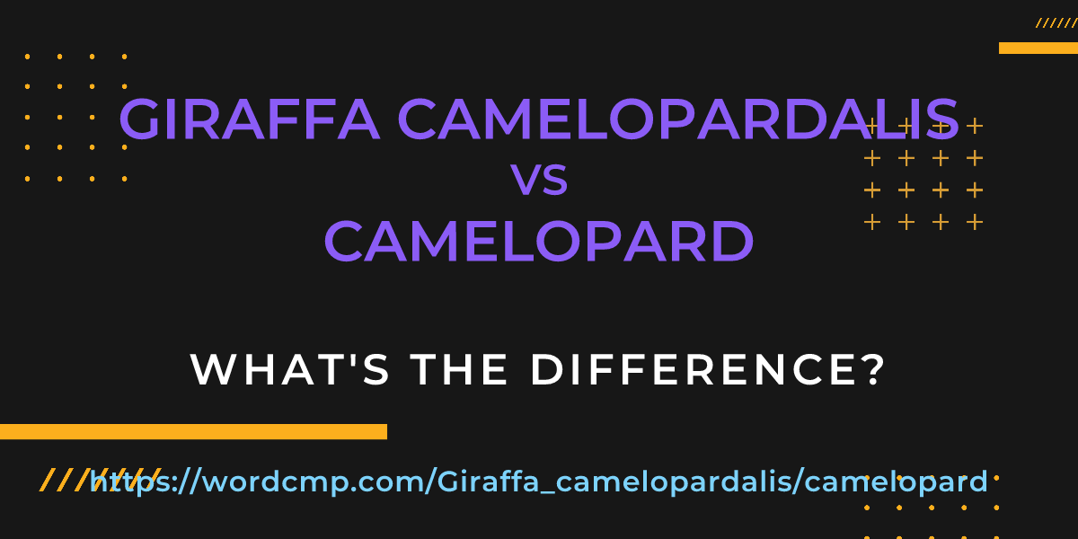 Difference between Giraffa camelopardalis and camelopard