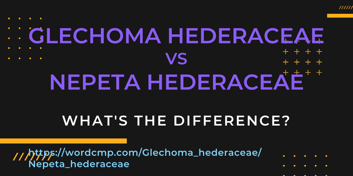 Difference between Glechoma hederaceae and Nepeta hederaceae