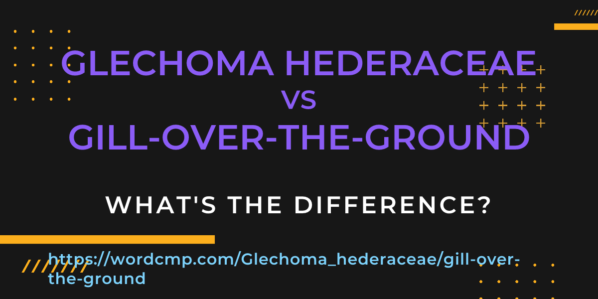 Difference between Glechoma hederaceae and gill-over-the-ground