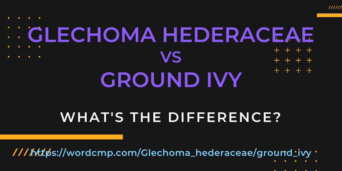 Difference between Glechoma hederaceae and ground ivy