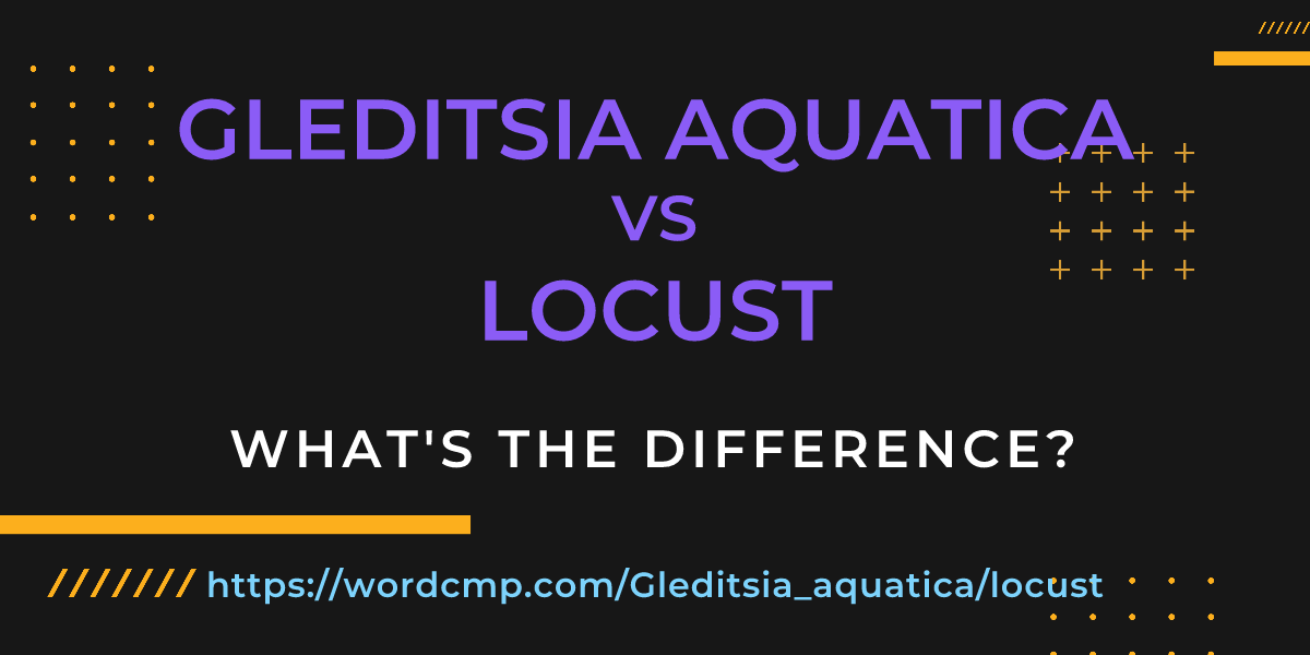 Difference between Gleditsia aquatica and locust