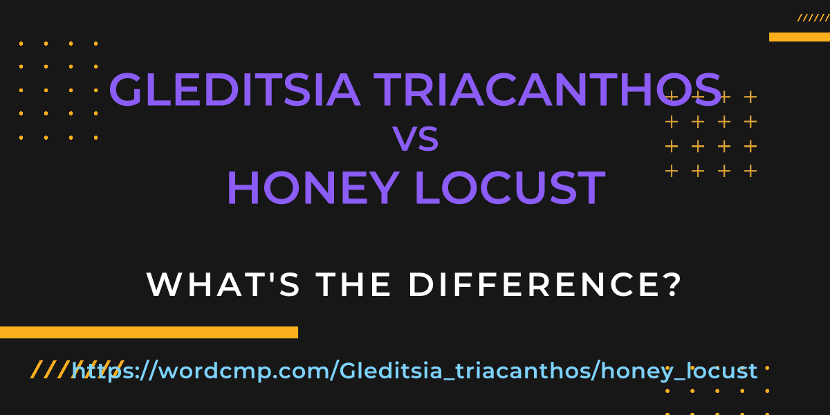 Difference between Gleditsia triacanthos and honey locust