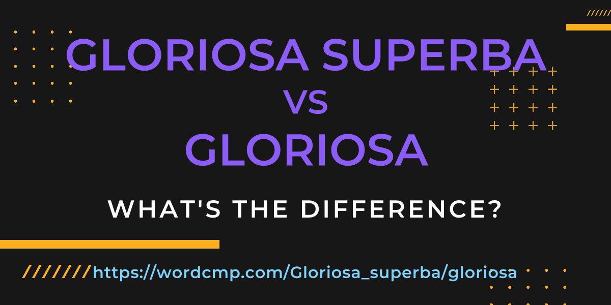 Difference between Gloriosa superba and gloriosa